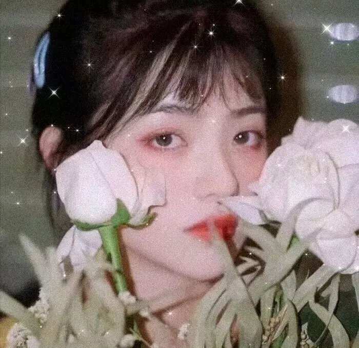 火玫瑰粤语