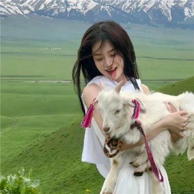 不惑之旅
